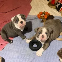 processed/aacd2ca7-aeaa-4440-a638-8ae316ba1d93/listing/c32dd905-f79c-4a44-8818-217bb9c501b9/b17cc17a-6219-47fb-9fc1-2689f3c1b1bf