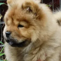 processed/aad3236d-f24b-434c-a2fc-3be7c5f24e12/facility/77b39640-d496-41dd-848e-b4b595c8b643