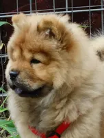 processed/aad3236d-f24b-434c-a2fc-3be7c5f24e12/facility/77b39640-d496-41dd-848e-b4b595c8b643