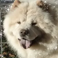 processed/aad3236d-f24b-434c-a2fc-3be7c5f24e12/facility/9c8fc22a-0323-4164-962a-a501e821a2c8