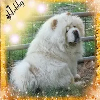 processed/aad3236d-f24b-434c-a2fc-3be7c5f24e12/facility/b05a1fc3-45be-4122-9c8d-e49efee41b79