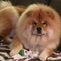 processed/aad3236d-f24b-434c-a2fc-3be7c5f24e12/facility/c8465881-205c-450a-9820-0f59f9061443