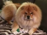 processed/aad3236d-f24b-434c-a2fc-3be7c5f24e12/facility/c8465881-205c-450a-9820-0f59f9061443