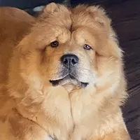 processed/aad3236d-f24b-434c-a2fc-3be7c5f24e12/facility/ee322599-489a-4008-91f1-3e05a7f4c5bf