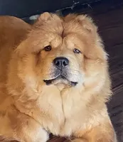 processed/aad3236d-f24b-434c-a2fc-3be7c5f24e12/facility/ee322599-489a-4008-91f1-3e05a7f4c5bf