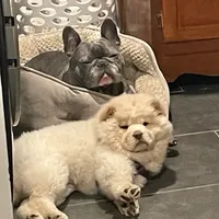 processed/aad3236d-f24b-434c-a2fc-3be7c5f24e12/facility/f2b291ae-b29e-437f-bb69-bccdf67df4f5