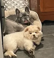 processed/aad3236d-f24b-434c-a2fc-3be7c5f24e12/facility/f2b291ae-b29e-437f-bb69-bccdf67df4f5