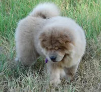 processed/aad3236d-f24b-434c-a2fc-3be7c5f24e12/listing/f1952656-19cf-439b-94a4-ba7114c500e7/340f660e-eba4-4a84-9cfb-de627b3ce6c7