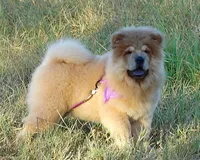 processed/aad3236d-f24b-434c-a2fc-3be7c5f24e12/listing/f1952656-19cf-439b-94a4-ba7114c500e7/a4092524-a2c8-4dbc-be7b-8ff64645f1d6