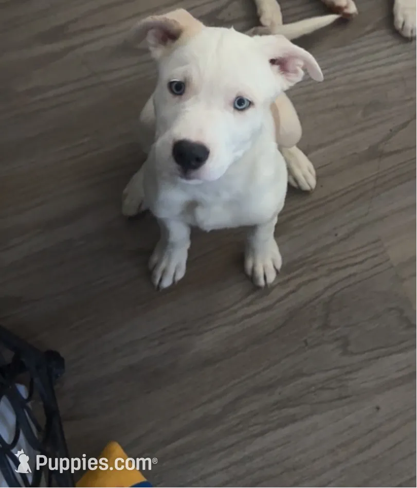 processed/aad56d2d-28ac-417a-86c4-4f375b3e7fe9/listing/afb494cc-cb17-4a5d-89d0-64aadf31af19/26be59b0-747b-41b9-b99f-c5e07656a17a