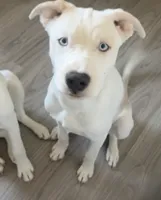 processed/aad56d2d-28ac-417a-86c4-4f375b3e7fe9/listing/afb494cc-cb17-4a5d-89d0-64aadf31af19/e8f42b66-231d-4077-b9fd-0edca7630611