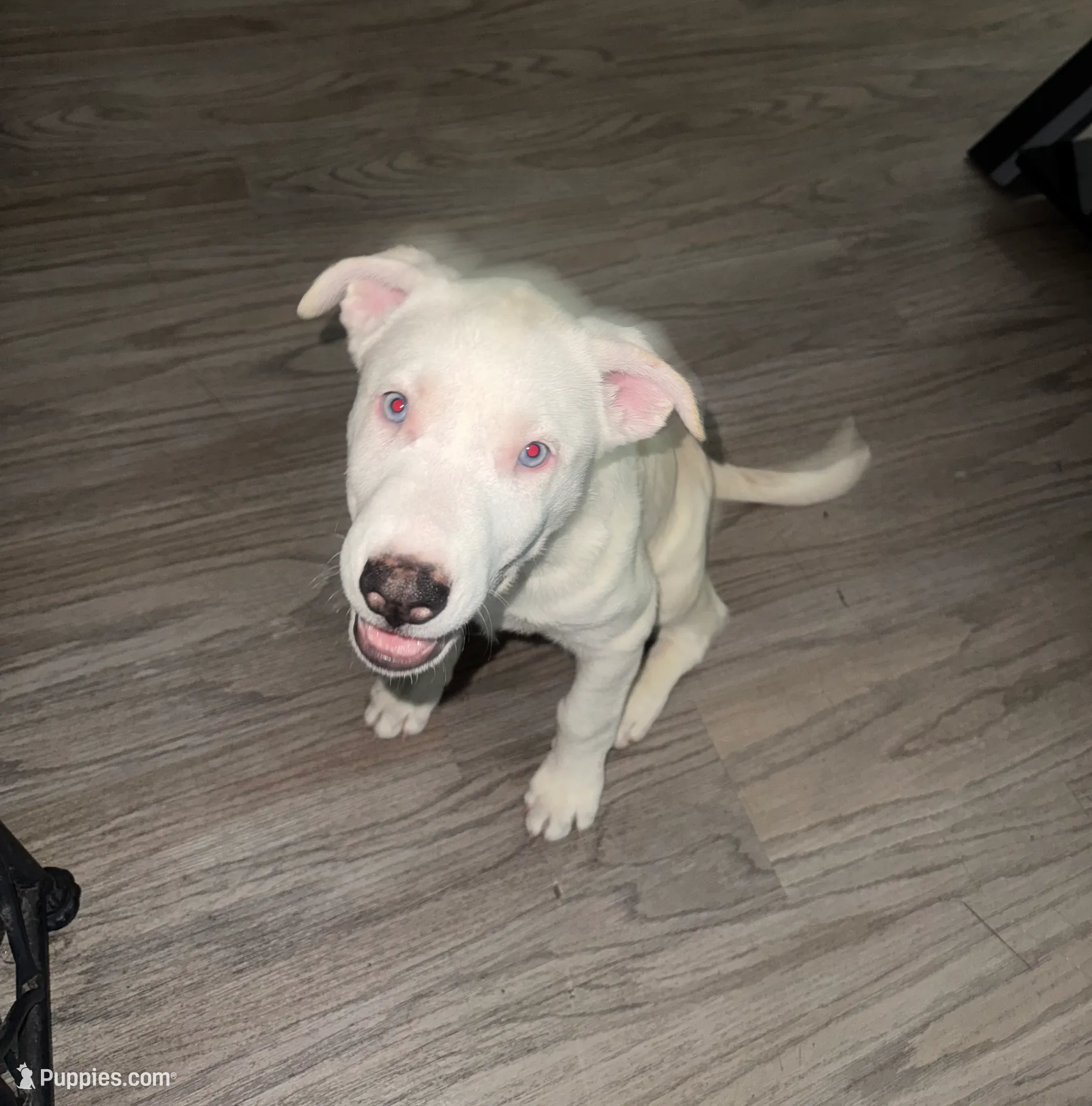 processed/aad56d2d-28ac-417a-86c4-4f375b3e7fe9/listing/f9c77523-045b-4cfd-ae06-a6ce00e993e1/63a3613e-f15d-45d5-a49d-bec13599d759