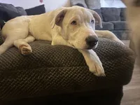 processed/aad56d2d-28ac-417a-86c4-4f375b3e7fe9/listing/f9c77523-045b-4cfd-ae06-a6ce00e993e1/77433b4a-63f3-4f76-a690-43d83251066d