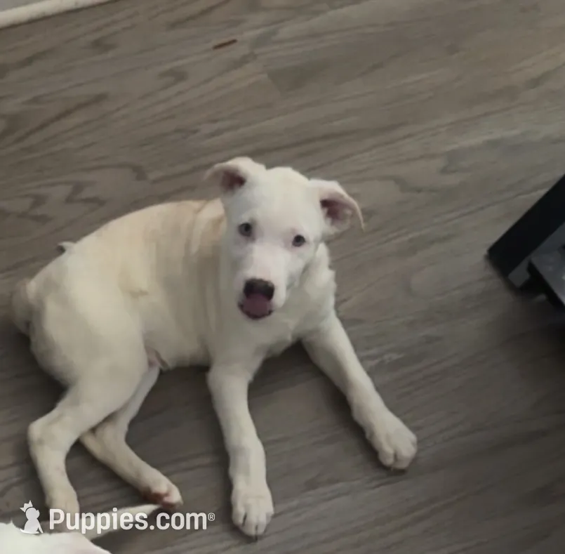 processed/aad56d2d-28ac-417a-86c4-4f375b3e7fe9/listing/f9c77523-045b-4cfd-ae06-a6ce00e993e1/d347f96d-e286-4c62-88d8-c1119a6aeb29