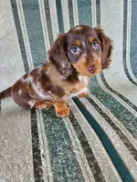 processed/aad623a0-70a8-446e-bcb2-bc7cca98ee62/facility/3922bd87-677d-422e-9b85-6f8d1c078d28