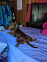 processed/aad623a0-70a8-446e-bcb2-bc7cca98ee62/facility/3a4bb7d5-db3e-4ef2-8cc6-7b862146410c