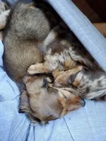 processed/aad623a0-70a8-446e-bcb2-bc7cca98ee62/facility/6442c321-b3aa-43d9-ab64-5507f73de6d3