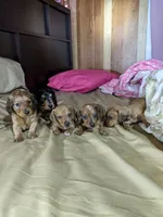 processed/aad623a0-70a8-446e-bcb2-bc7cca98ee62/facility/b177359d-ba58-4519-8ecd-665ba15a046b