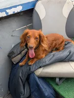 processed/aad623a0-70a8-446e-bcb2-bc7cca98ee62/facility/bccb8b32-395e-4a29-8789-5c48b4d6d8a5