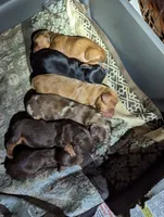 processed/aad623a0-70a8-446e-bcb2-bc7cca98ee62/facility/fd5aa3b9-23dc-4f29-9d7b-cdd01712bc9b