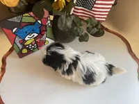 Little Teddy, a male Shih Tzu for sale in Troy, MI – Photo 3 of 6