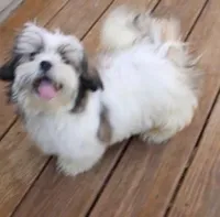 processed/aadd5cde-7473-4c0c-a23d-1daab50f1d25/facility/0fa1a0a1-e84d-421f-a264-7adb4204f3f9