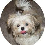 processed/aadd5cde-7473-4c0c-a23d-1daab50f1d25/facility/11868f8f-14bb-483a-905e-3bb46c393de4