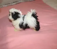 processed/aadd5cde-7473-4c0c-a23d-1daab50f1d25/facility/19820371-1584-4370-9f63-cf5c7ee001a3