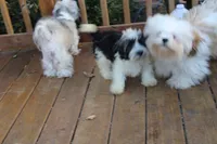 processed/aadd5cde-7473-4c0c-a23d-1daab50f1d25/facility/7683f563-3390-43a1-95e0-f500940701db