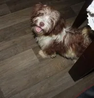 processed/aadd5cde-7473-4c0c-a23d-1daab50f1d25/facility/79029d44-ebed-4898-a837-2c74b24ed436