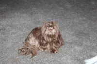 processed/aadd5cde-7473-4c0c-a23d-1daab50f1d25/facility/d2b9dc5b-8cc1-4764-9f14-8400a252aa4e