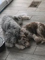 Facility photo