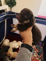 processed/aaeaf062-7f3f-4f1f-beda-82470359bc8e/listing/1c702ea0-6f91-4ad9-a7e1-499c9f669504/5e7f4b63-2ee5-490d-adcf-65f7ed9a0aba