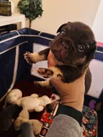 processed/aaeaf062-7f3f-4f1f-beda-82470359bc8e/listing/1c702ea0-6f91-4ad9-a7e1-499c9f669504/68d4f239-4d3c-4335-b3d8-19dedffe70b8