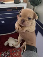 processed/aaeaf062-7f3f-4f1f-beda-82470359bc8e/listing/5e278214-0d01-41d7-857c-d7b2a0a78e83/34674327-79b3-4b16-81c3-ae4753567d54