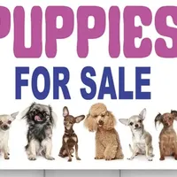 processed/aaed250e-849f-492c-ab14-ebdd29ad3130/facility/c9861ce4-ef79-45a1-8c36-4b33b53d735b