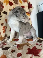 processed/aaed250e-849f-492c-ab14-ebdd29ad3130/listing/6ce09efd-bbd3-4fc7-bca8-104c4ff2d28b/1dc251ae-09e4-4646-9a73-98caac8f179c