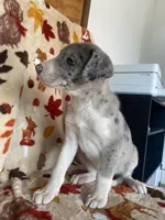 processed/aaed250e-849f-492c-ab14-ebdd29ad3130/listing/6ce09efd-bbd3-4fc7-bca8-104c4ff2d28b/3d636db1-b217-45c4-acc9-e1d52c0d7cf6