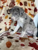 processed/aaed250e-849f-492c-ab14-ebdd29ad3130/listing/6ce09efd-bbd3-4fc7-bca8-104c4ff2d28b/bdf43606-a651-4037-a9c6-f64ad326d0b7