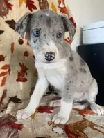 processed/aaed250e-849f-492c-ab14-ebdd29ad3130/listing/6ce09efd-bbd3-4fc7-bca8-104c4ff2d28b/d3010094-67d8-4783-a149-62e75a947f24