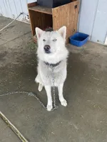 processed/aaed250e-849f-492c-ab14-ebdd29ad3130/listing/6ce09efd-bbd3-4fc7-bca8-104c4ff2d28b/fd8cba9a-f210-479b-a489-a13e00cc83e3