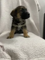 processed/aaed250e-849f-492c-ab14-ebdd29ad3130/listing/bf00e94e-c029-45fb-a787-10ab28b55739/52b4f88e-0322-44c0-9d20-2dfd3892a7f0