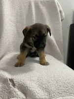 processed/aaed250e-849f-492c-ab14-ebdd29ad3130/listing/bf00e94e-c029-45fb-a787-10ab28b55739/9156734e-8915-4edf-bc97-e562037e0ab7