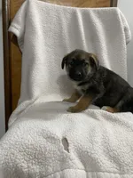 processed/aaed250e-849f-492c-ab14-ebdd29ad3130/listing/bf00e94e-c029-45fb-a787-10ab28b55739/b21c5375-d4f0-4d86-a925-1e81bfdaa90b