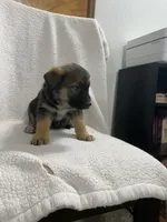 processed/aaed250e-849f-492c-ab14-ebdd29ad3130/listing/bf00e94e-c029-45fb-a787-10ab28b55739/f0822899-6da3-4f9c-80a0-b67f74db084b