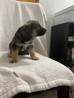 processed/aaed250e-849f-492c-ab14-ebdd29ad3130/listing/bf00e94e-c029-45fb-a787-10ab28b55739/f39dd72a-d871-43af-9e9c-32bc7b7e2cd1