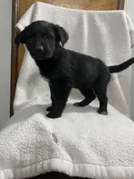 processed/aaed250e-849f-492c-ab14-ebdd29ad3130/listing/c2736e6e-5598-496c-89fd-b8e6769ca412/24599f37-6d7a-4292-b3c0-f53f7328ee03