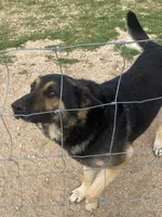 processed/aaed250e-849f-492c-ab14-ebdd29ad3130/listing/c2736e6e-5598-496c-89fd-b8e6769ca412/41f82366-4b8a-4be5-afbb-e3aff3ad1984