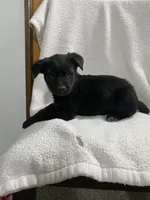 processed/aaed250e-849f-492c-ab14-ebdd29ad3130/listing/c2736e6e-5598-496c-89fd-b8e6769ca412/4f19d80f-372d-49f3-a024-e56d4e1f24f1