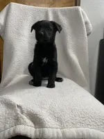 processed/aaed250e-849f-492c-ab14-ebdd29ad3130/listing/c2736e6e-5598-496c-89fd-b8e6769ca412/69b9e8a5-1b07-4863-bea6-10042ec0258c